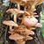 Kim Miner's profile image