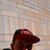Knine Tool's profile image
