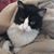 Bill Hayhurst's profile image