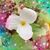 Sandee Cooper's profile image