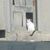 Eddie Morgan's profile image