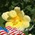 Jytte Richey's profile image