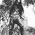 Che CreatureOldvulture's profile image