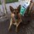 Deyonne Ullmer's profile image