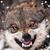 Judy Johnson's profile image