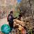 Kathy Packard's profile image
