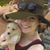Jane Gurnick Pouzou's profile image