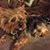 Patty Medeiros Hopkins's profile image
