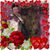 Maria Jackson's profile image