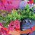 Wanda Oyola's profile image