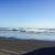 Lorrie Manuele's profile image
