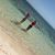Jennifer Hefter's profile image