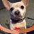 Ron Smith's profile image