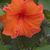 Dianne Yoder's profile image