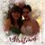 Ann Sechrest's profile image