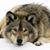 Jerry McCulley's profile image