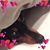 Lisa Bowersox's profile image