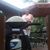 Shirley Diels's profile image