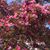 Joanne Loyear's profile image