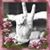 Fernando Gallardo's profile image