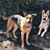 Katie S. Hopple-Witteborn's profile image