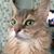Cheryl Leigh Chamberlin's profile image