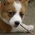 Lisa Krumm's profile image