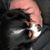 Jeff Peyton's profile image