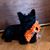 Oranjedee Houck Widerski's profile image