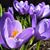 Kelly M Wiltzius's profile image