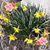 Laury Holt's profile image