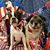 DeAnna Willis's profile image