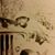 Kevin Wolverton's profile image