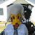 Barbara White's profile image