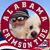 James Sanes's profile image