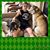 Amy Headley's profile image