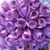 Joanne Siracusa's profile image