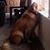 Amber Rustay Ricks's profile image