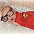 Brittany Townsend Orr's profile image