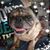 Peggy Jenkins Martinez's profile image