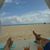 Kathy Miller-dicarlo's profile image