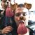Traves Lee Lerma's profile image