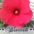 Cindy DiPiazza's profile image