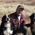 Jim LaFrom's profile image