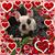 Bonnie Blecher's profile image