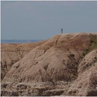 Carley Laney's profile image