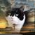 Judi Fifer Hessemer's profile image