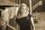 Stacy M.'s profile image