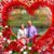 Diann Hayton's profile image