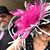 Angela Jacobi Purcell's profile image